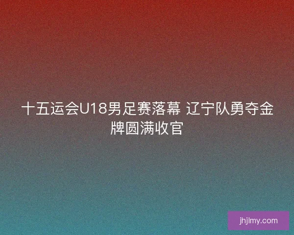 十五运会U18男足赛落幕 辽宁队勇夺金牌圆满收官