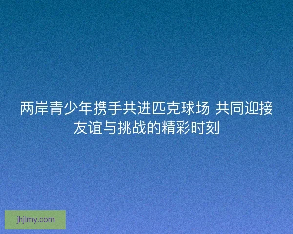 两岸青少年携手共进匹克球场 共同迎接友谊与挑战的精彩时刻 两岸青少年携手共进匹克球场 共同迎接友谊与挑战的精彩时刻